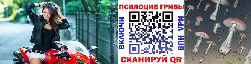 Галлюциногенные грибы MAGIC MUSHROOMS цена ссылка на мегу ССЫЛКА Липецк